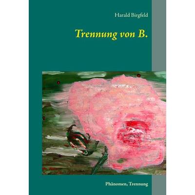 Trennung von B., Taschenbuch von Harald Birgfeld, BoD – Books on Demand, 978-3-7448-3828-3