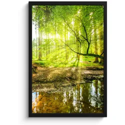 POSTER MIT RAHMEN Wald - Landschaft - Wasser - Bäume - Sonne - Grün - Natur Bilder mit Rahmen 40x60 cm