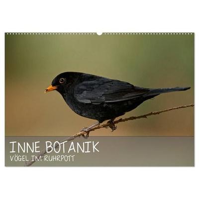 INNE BOTANIK - Vögel im Ruhrpott (Wandkalender 2027 DIN A2 quer), CALVENDO Monatskalender