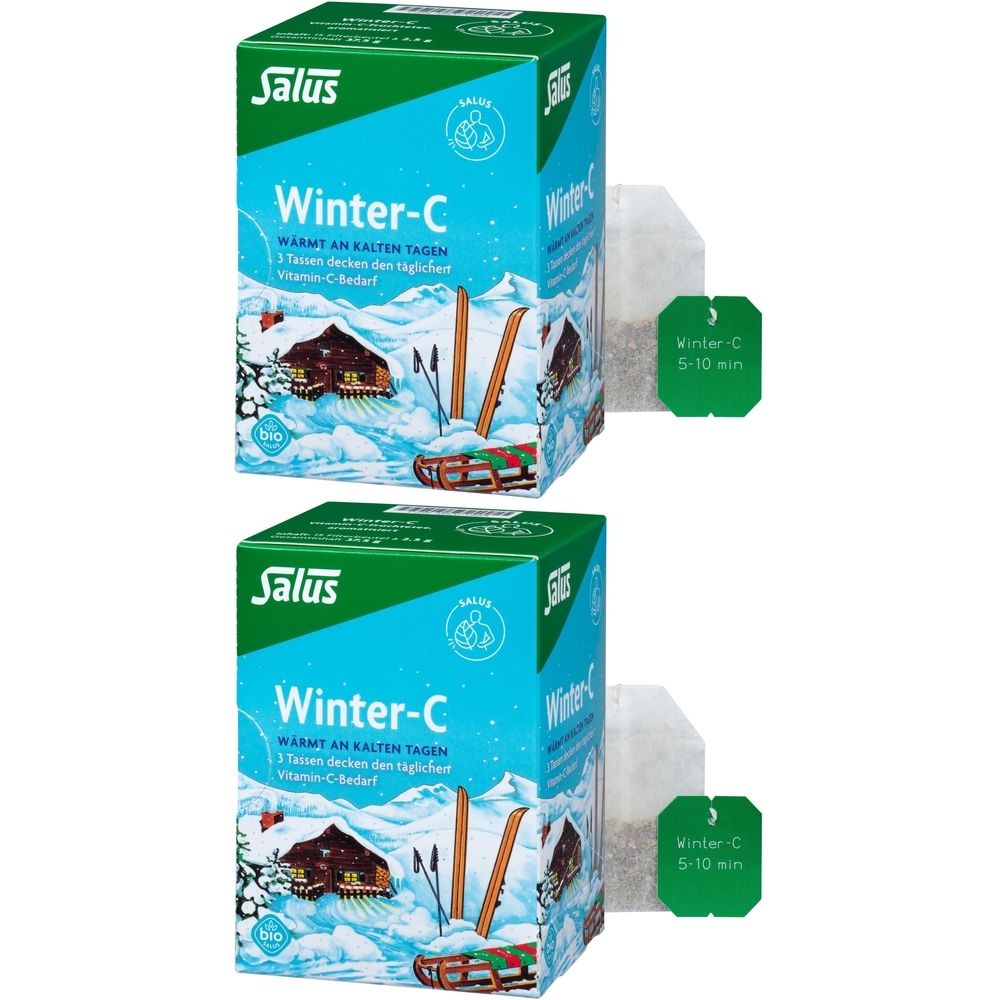 Salus Bio Winter-C Vitamin C-Früchtetee 2x15 St Tee