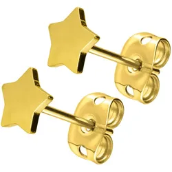 Titan Ohrstecker STERN