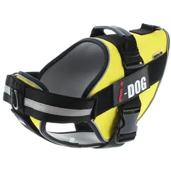 i-DOG NeoCITY (S, Hund), Halsband + Leine