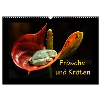 Frösche und Kröten (Wandkalender 2027 DIN A3 quer), CALVENDO Monatskalender