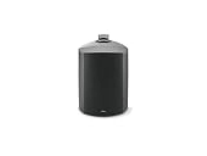 Focal 100 OD 6 Black (l'unité)
