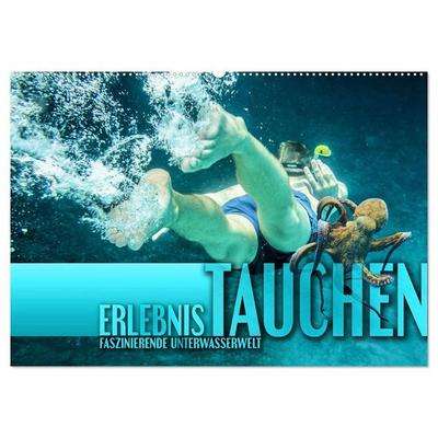 Erlebnis Tauchen - faszinierende Unterwasserwelt (Wandkalender 2027 DIN A2 quer), CALVENDO Monatskalender