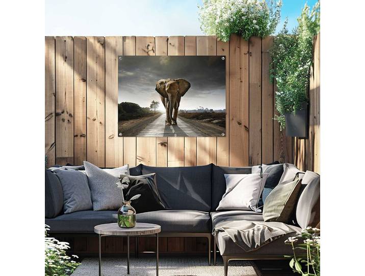 Poster extérieur Roi éléphant PVC Marron/Marron 60 x 80 x 0cm
