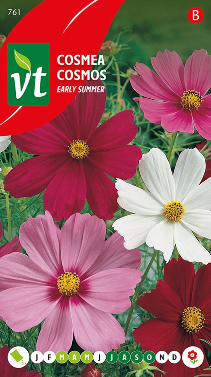Cosmea Early Summer - Kleurrijke bloemen voor vroege bloei tot aan de eerste vorst