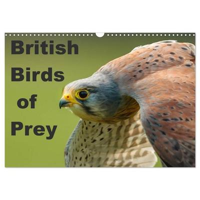 British Birds of Prey (Wall Calendar 2027 DIN A3 landscape), CALVENDO 12 Month Wall Calendar