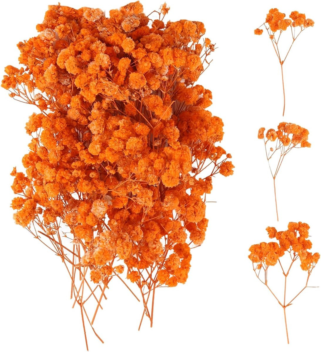 Levendig oranje mini gypsophila gedroogde bloemen voor botanische exemplaren en nail art