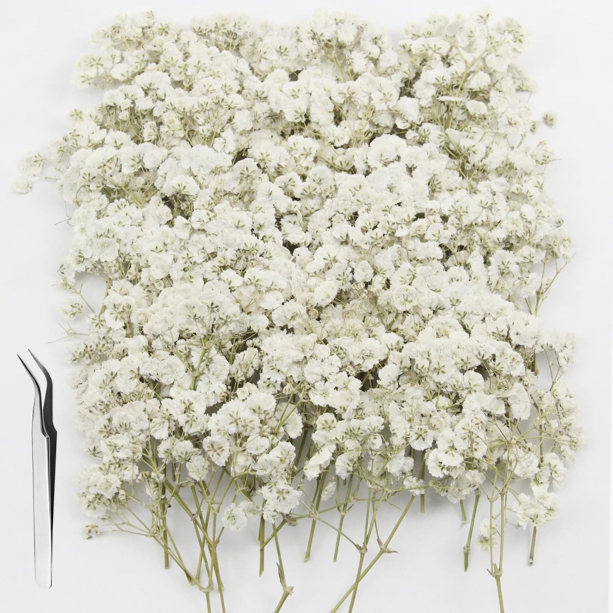 NTHProducts Gypsophila Gedroogde Bloemen Natuurlijke Kleur voor DIY Decoratie