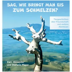 Sag, wie bringt man Eis zum Schmelzen?, Kinderbücher von Stefanie Mayer, Karl Alexander Mayer