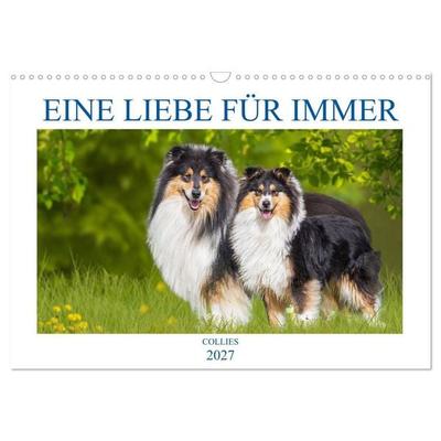 Eine Liebe für immer - Collies (Wandkalender 2027 DIN A3 quer), CALVENDO Monatskalender