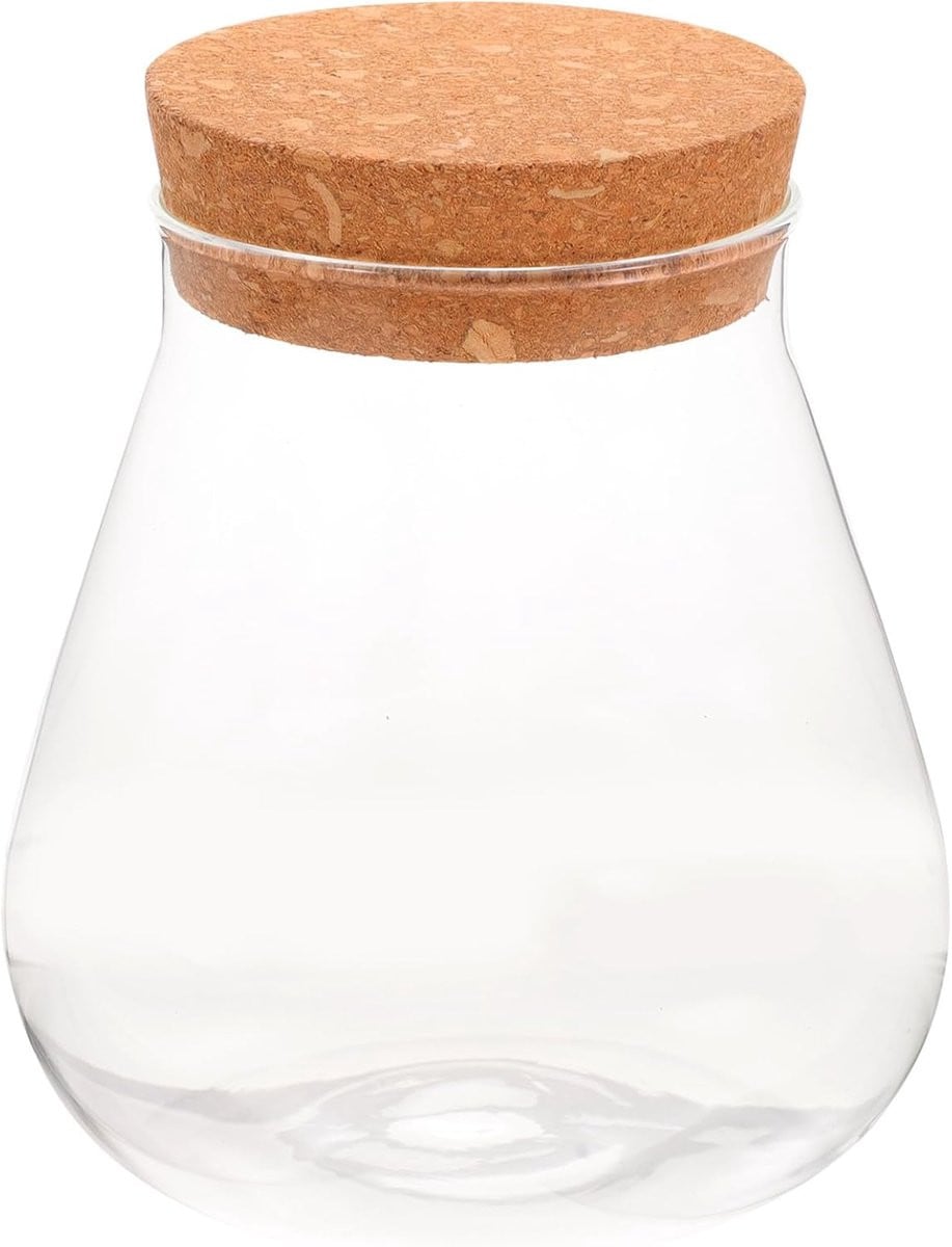 Glazen Fles Decoratie Mini Terrarium Transparant Hoogte: 11 cm
