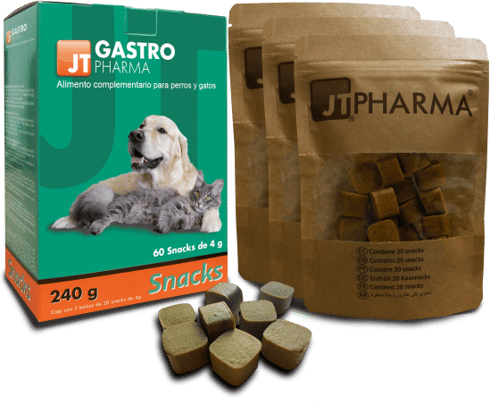 JTpharma Gastro Pharma Snack 60 uds x 4g