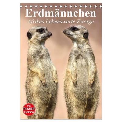 Erdmännchen - Afrikas liebenswerte Zwerge (Tischkalender 2027 DIN A5 hoch), CALVENDO Monatskalender