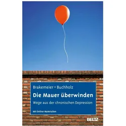 Die Mauer überwinden, Fachbücher von Eva-Lotta Brakemeier, Angela Buchholz