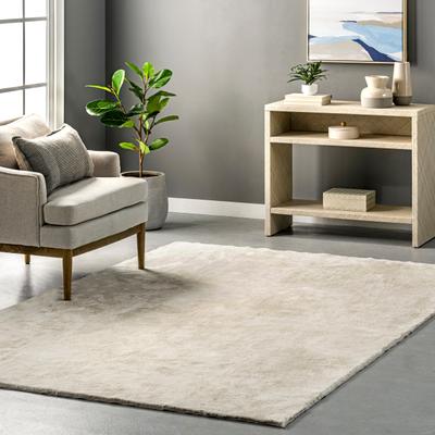 Nuloom Loni SuperiorWash Solid Machine Washable Shag Area Rug
