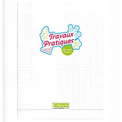 Calligraphe 5x Arbeitsheft 48Bl 24x32 frz Lin+BL- Farblos 18189C