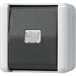Jung Taster 10AX 250V 833-2 W