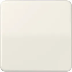 JUNG Wippe ws für Taster CD 590