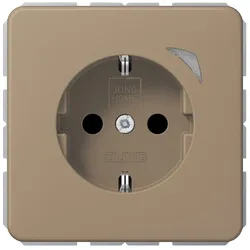 Jung SCHUKO Steckdose 16 A 250V BT CD 1521 SE GB