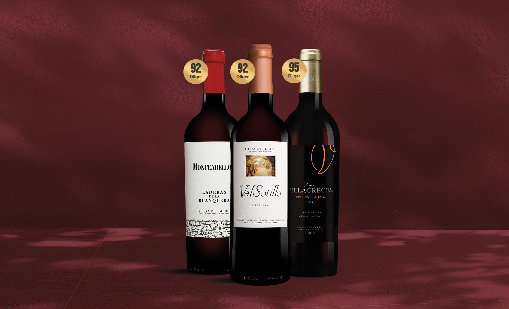 Ribera del Duero-Paket Weinpaket  aus Spanien
