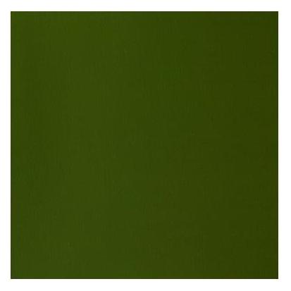 Winsor & Newton Designers Gouache 14ml Olive Green 447 (14 ml) (0605447)