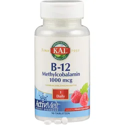 Methylcobalamin (vit. B 12) 1000 Ug Activmelt Kal 90 ST