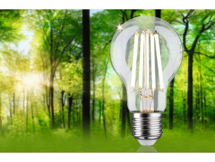 Ampoule LED Ø 6cm Transparent