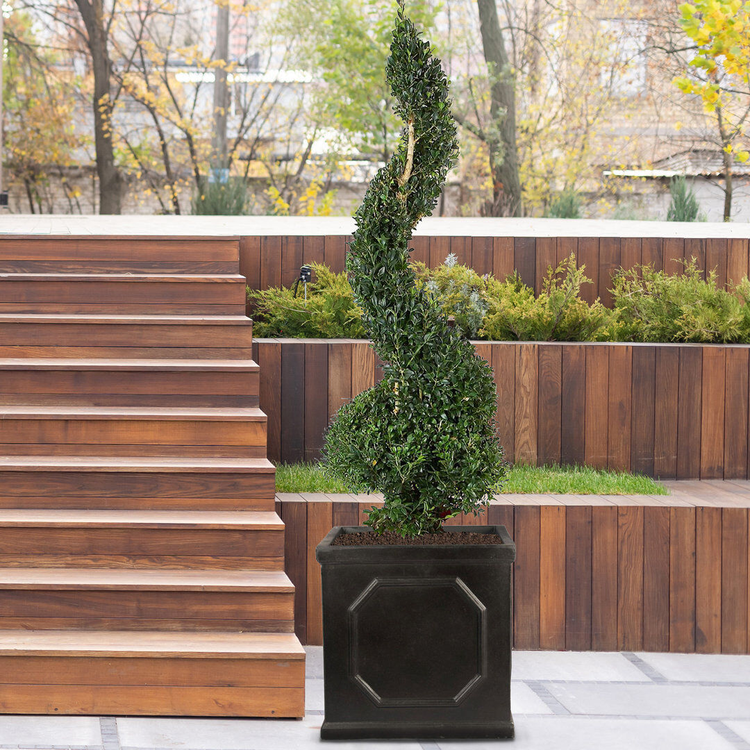 HORTICO Handcrafted Stone Outdoor Planter Box Dark Grey 38cm H x 37cm W x 37cm D