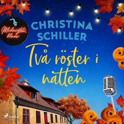 Två röster i natten - Christina Schiller, Audio, 9788728570524