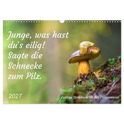 Junge, was hast du`s eilig (Wandkalender 2027 DIN A3 quer), CALVENDO Monatskalender