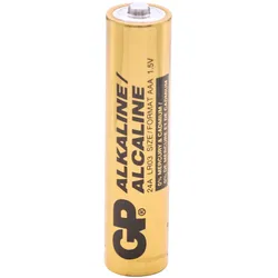 GP Batteries GP GPIND24AB Micro (AAA)-Batterie Alkali-Mangan 1.5 V 1000 St. (AAA), Batterien + Akkus