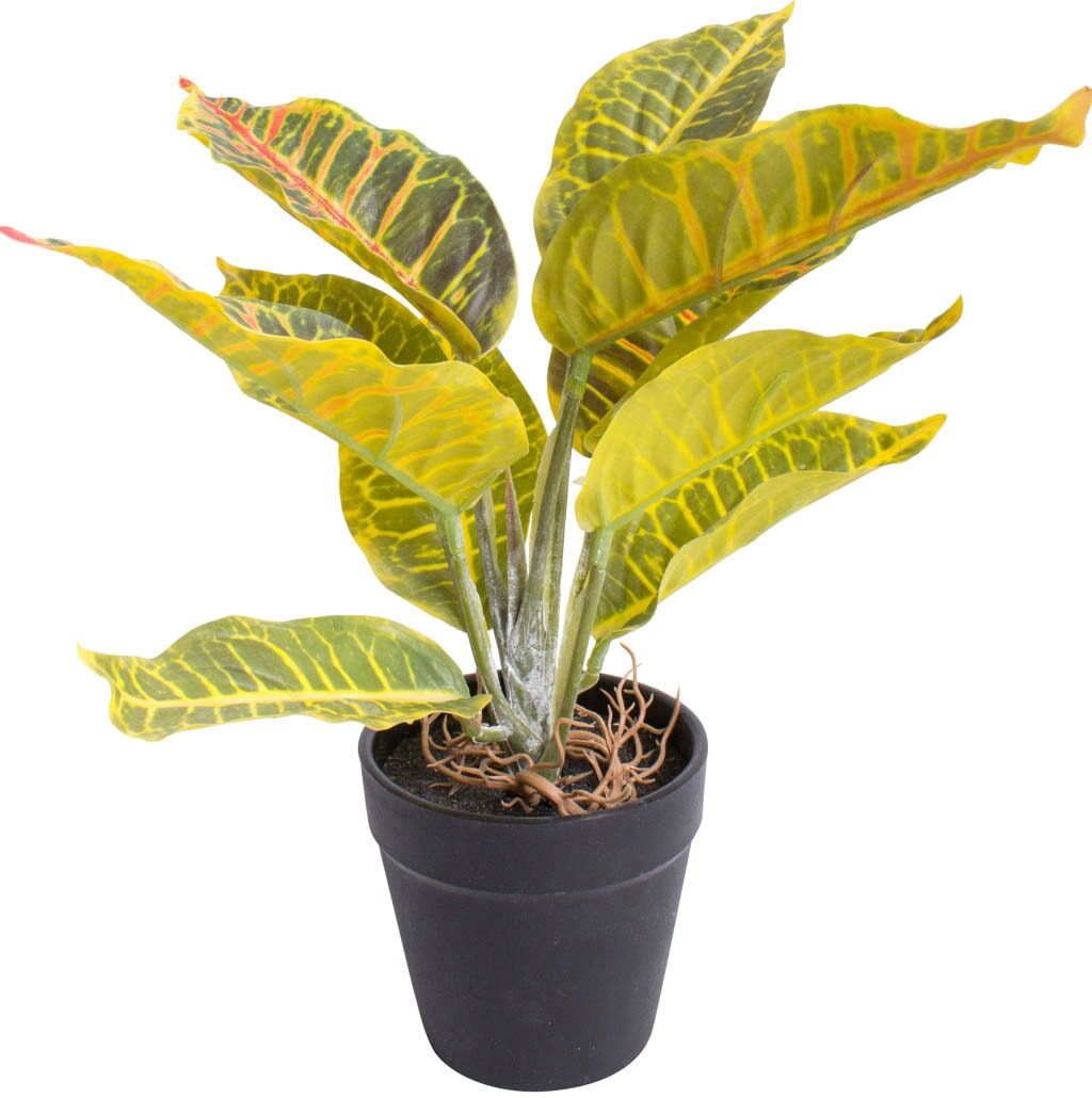 Künstliche Zimmerpflanze BOTANIC-HAUS "Croton", bunt (gelb, grün, rot), B:18cm H:28cm T:18cm Ø:18cm, Kunststoff, Kunstpflanzen, Künstliche Zimmerpflanze