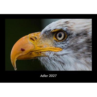 Adler 2027 Fotokalender DIN A3