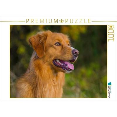 CALVENDO Puzzle Nova Scotia Duck Tolling Retriever Rüdenporträt | 1000 Teile Lege-Größe 64x48cm Foto-Puzzle für glückliche Stunden