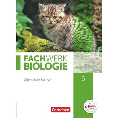 Fachwerk Biologie - Sachsen - 6. Schuljahr, Gebundene Ausgabe von Peter Pondorf,Lysann Tessendorf,Udo Hampl,Ingmar Stelzig,Anke Pohlmann, Cornelsen