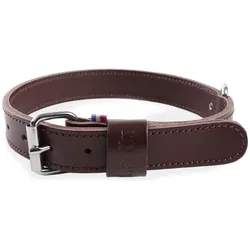 Martin Sellier 35/75 (One Size, Hund, Spazieren), Halsband + Leine