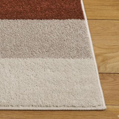 SAFAVIEH Adirondack Jarmila Contemporary Rug