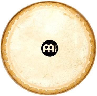 "Meinl TS-B-11 11 3/4"" Conga Head "