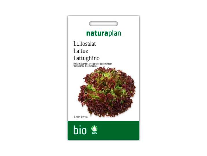 Naturaplan Bio-Lollosalat Lollo Rossa