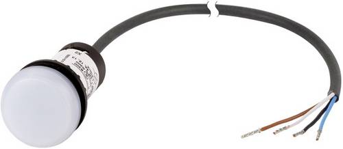 Eaton C22-L-W-24-P62 Meldeleuchte flach Weiß 24V DC/AC 1St.
