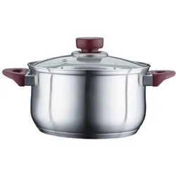 PETERHOF Kochtopf Ø20cm 3,4L Induktion 18/10 Edelstahl Marmorbeschichtung Suppentopf Weichgriffe Deckel
