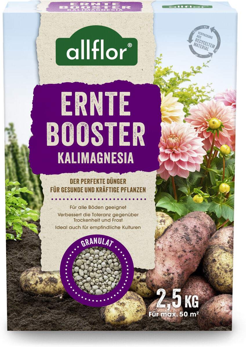 Allflor Dünger Erntebooster Kalimagnesia 2,5 kg