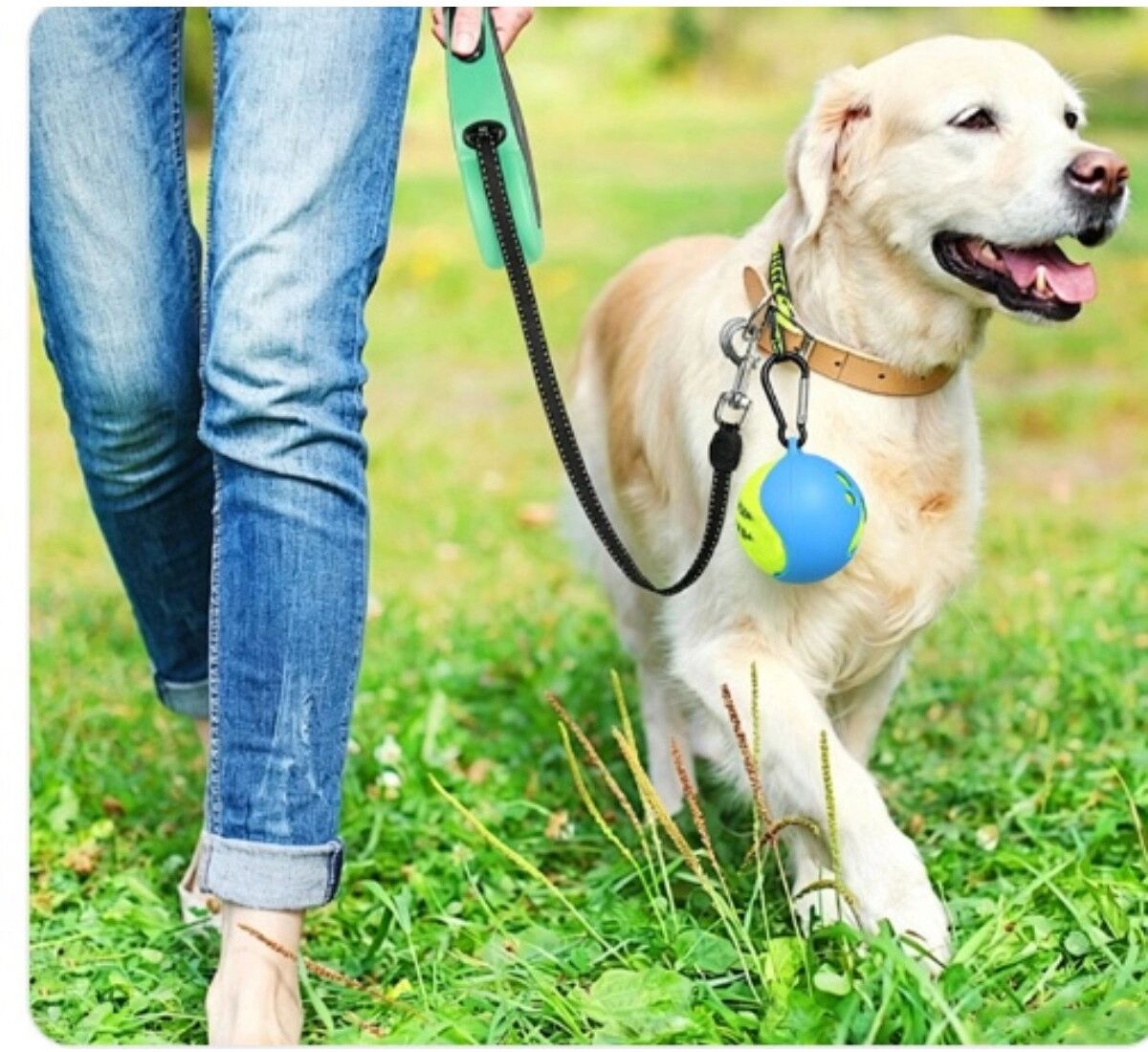 INF Silikon-Hundeballhalter – kaubeständige Tennisball-Hülle mit Karabiner für Outdoor-Apport und Training Blau