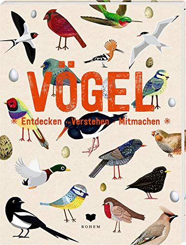 Roots - VÖGEL: Entdecken - Verstehen - Mitmachen - Preis vom 09.10.2026 07:28:09 h