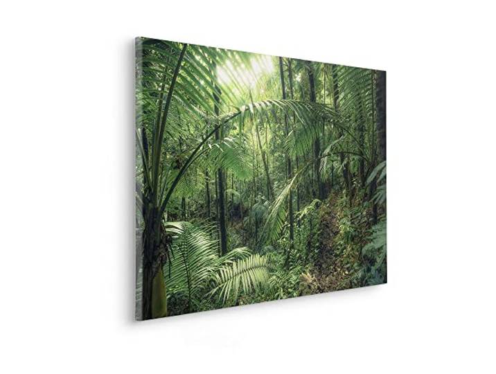 Komar Keilrahmenbild im Echtholzrahmen - Jungleflair - Größe 90 x 60 cm - Bild, Leinwandbild, Landschaftsmotiv, Wohnzimmer, Schlafzimmer