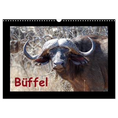 Büffel (Wandkalender 2027 DIN A3 quer), CALVENDO Monatskalender
