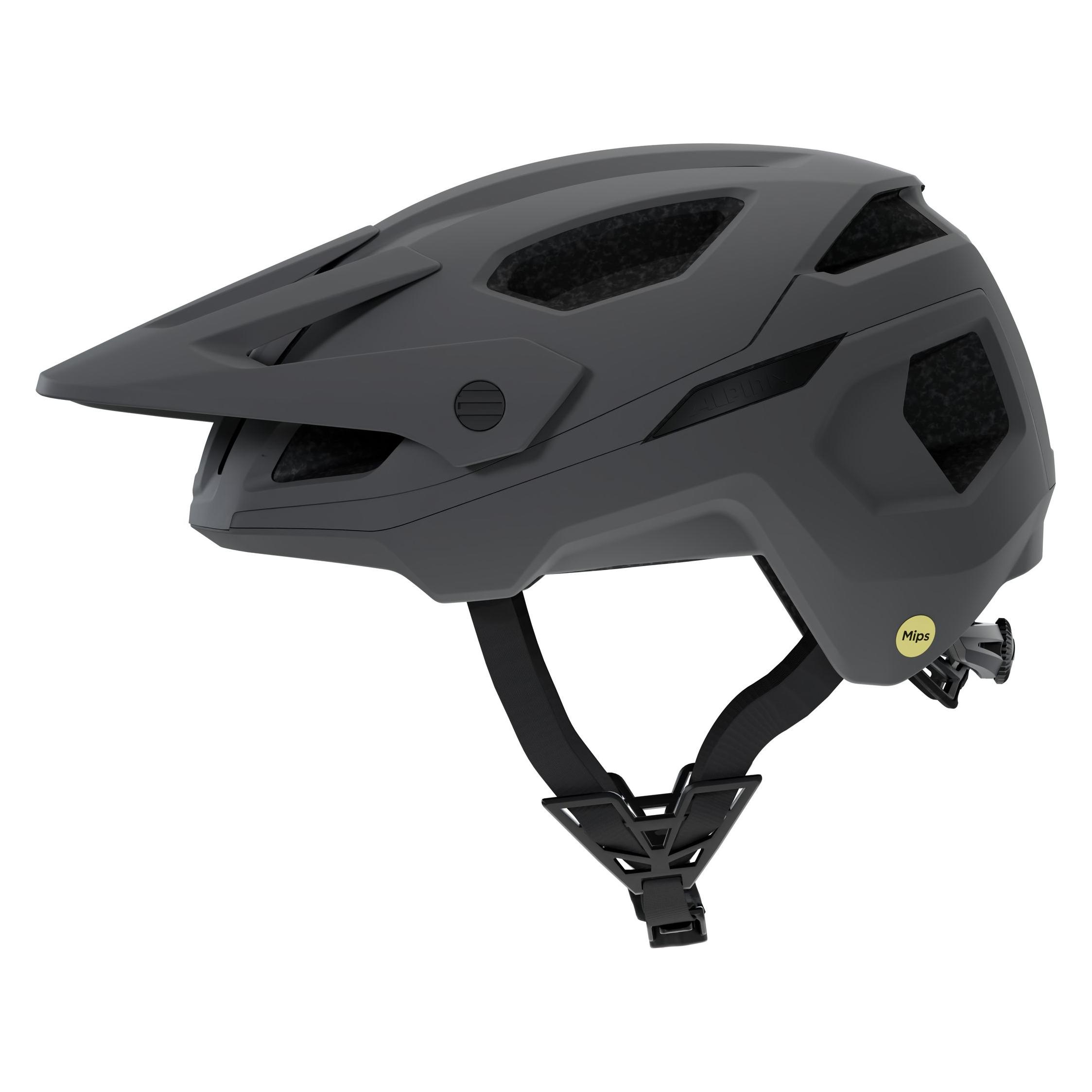 Alpina Rootage 2 Mips (55 - 59 cm) (71503838)