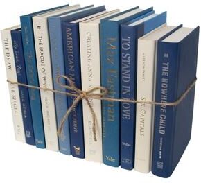 Booth & Williams Decorative Books - Coastal Shores Book Bundle - 1 Foot of Blue Books